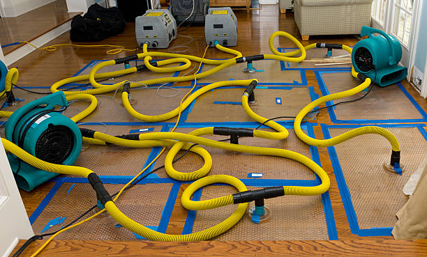 Professional Crawl Space Water Removal technician working in Rome, IL